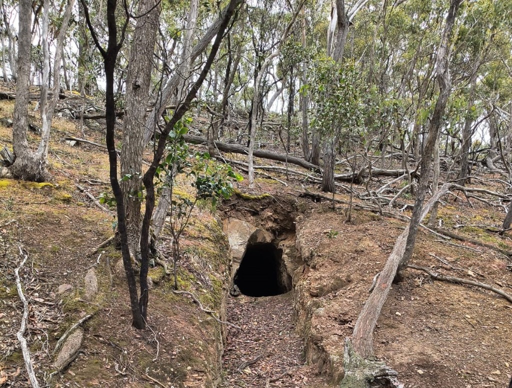 Figure 5 – Adit on North Hanover Zone (looking east)